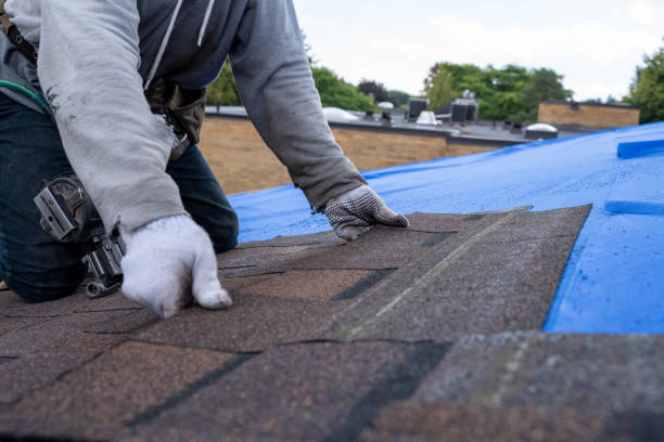 Best Roof Waterproofing Services  in Redwood Valley, CA
