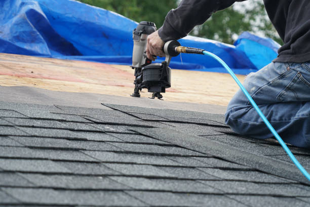 Best Roof Maintenance Services  in Redwood Valley, CA