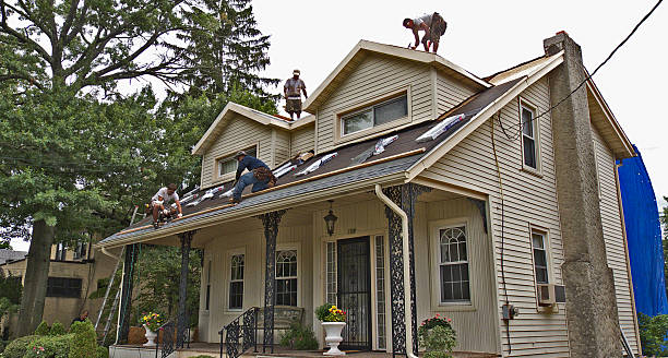 Best Roof Repair Services  in Redwood Valley, CA