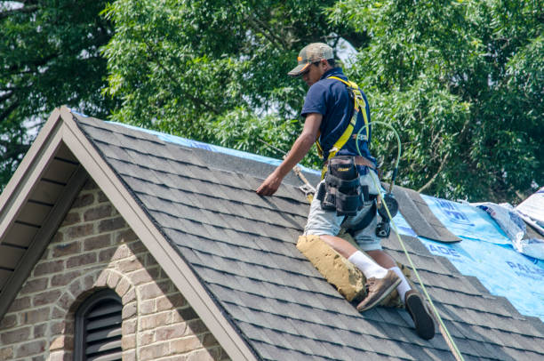 Best New Roof Installation  in Redwood Valley, CA